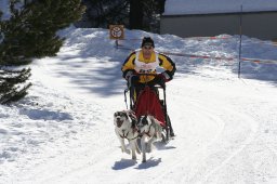 San Bernardino 2008